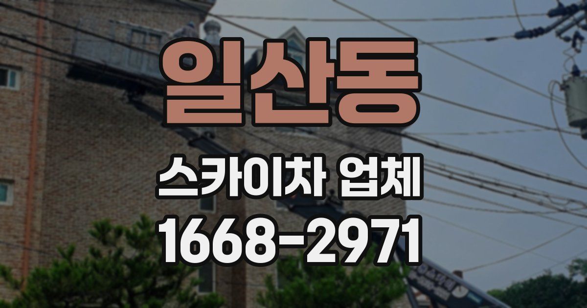 일산동 스카이차 업체
