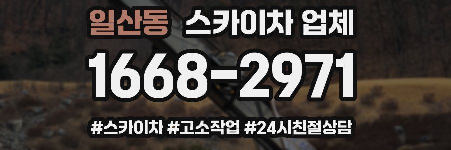 일산동 스카이차 업체