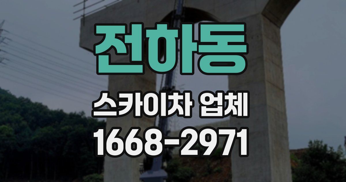 전하동 스카이차 업체