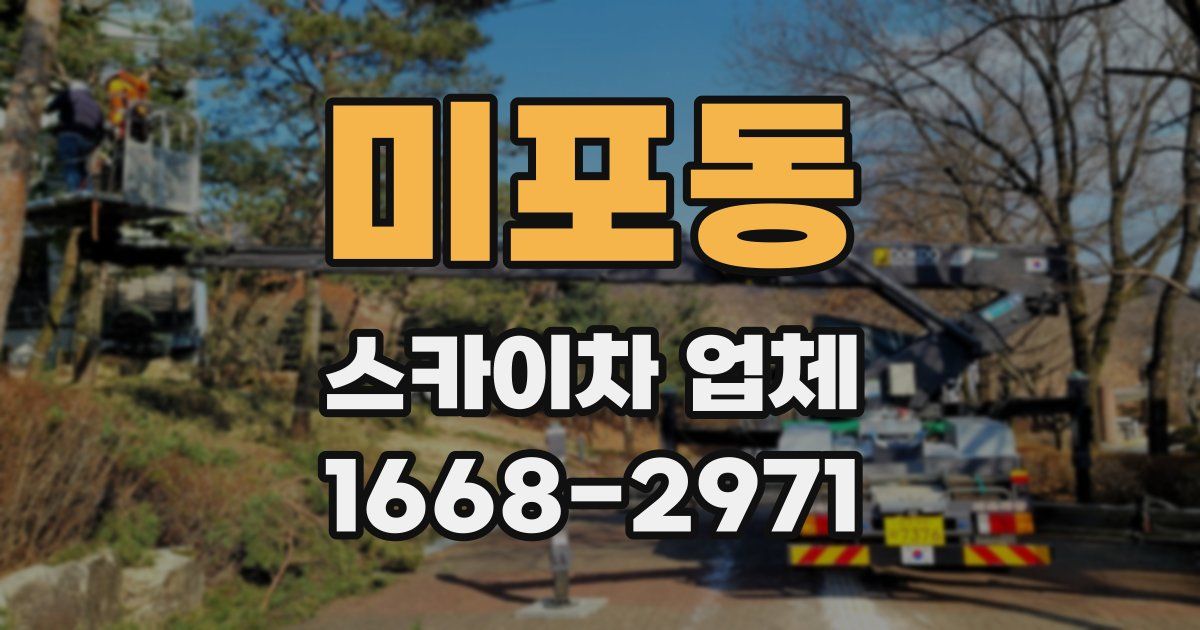 미포동 스카이차 업체