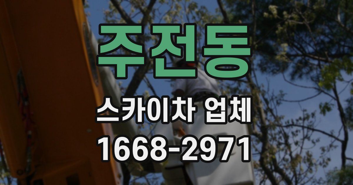 주전동 스카이차 업체