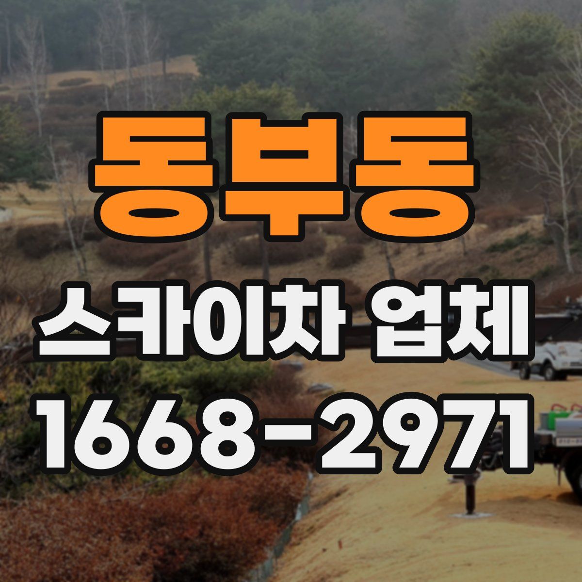 동부동 스카이차 업체