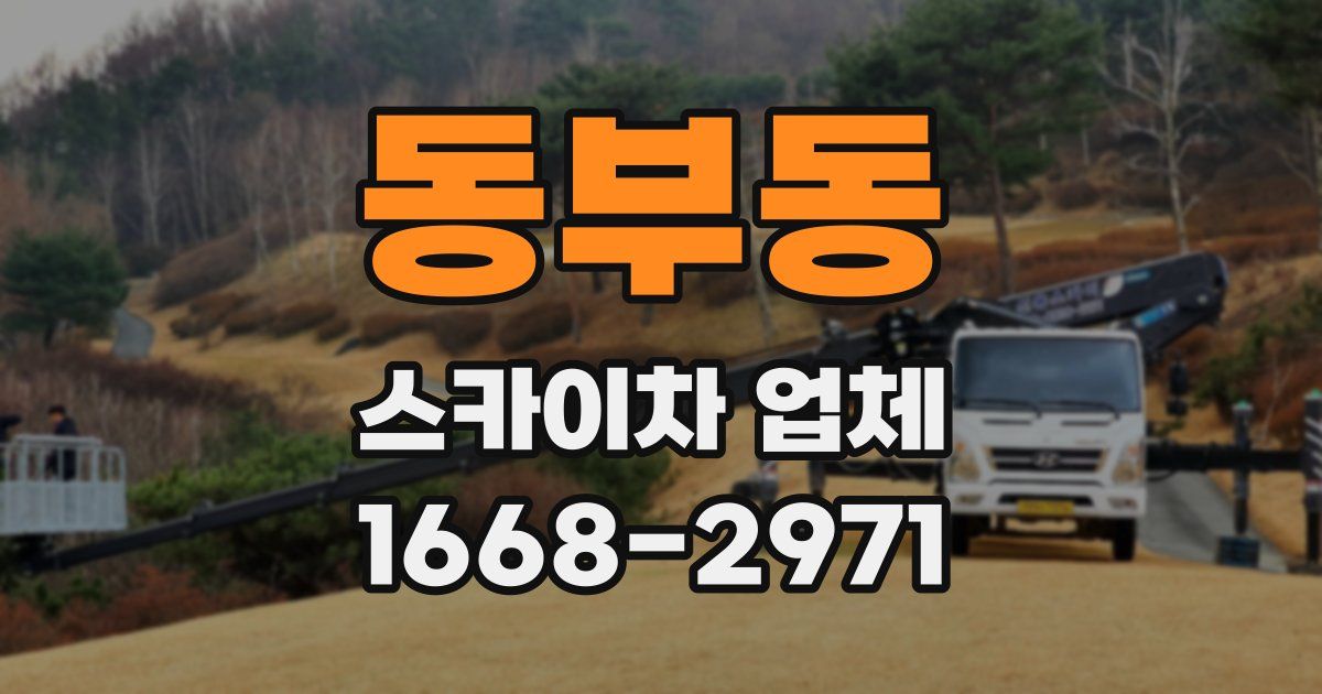 동부동 스카이차 업체