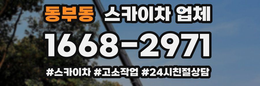 동부동 스카이차 업체