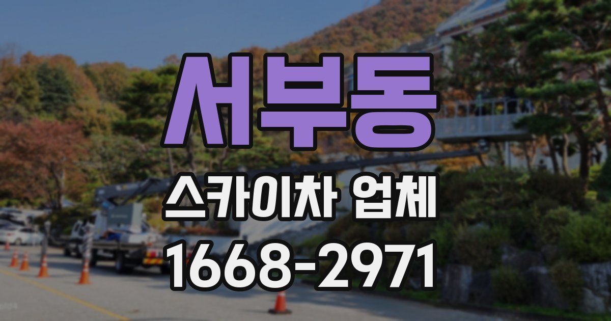 서부동 스카이차 업체