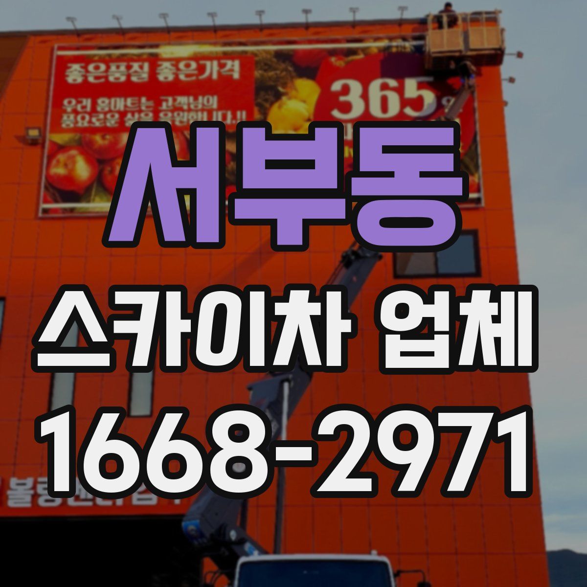 서부동 스카이차 업체