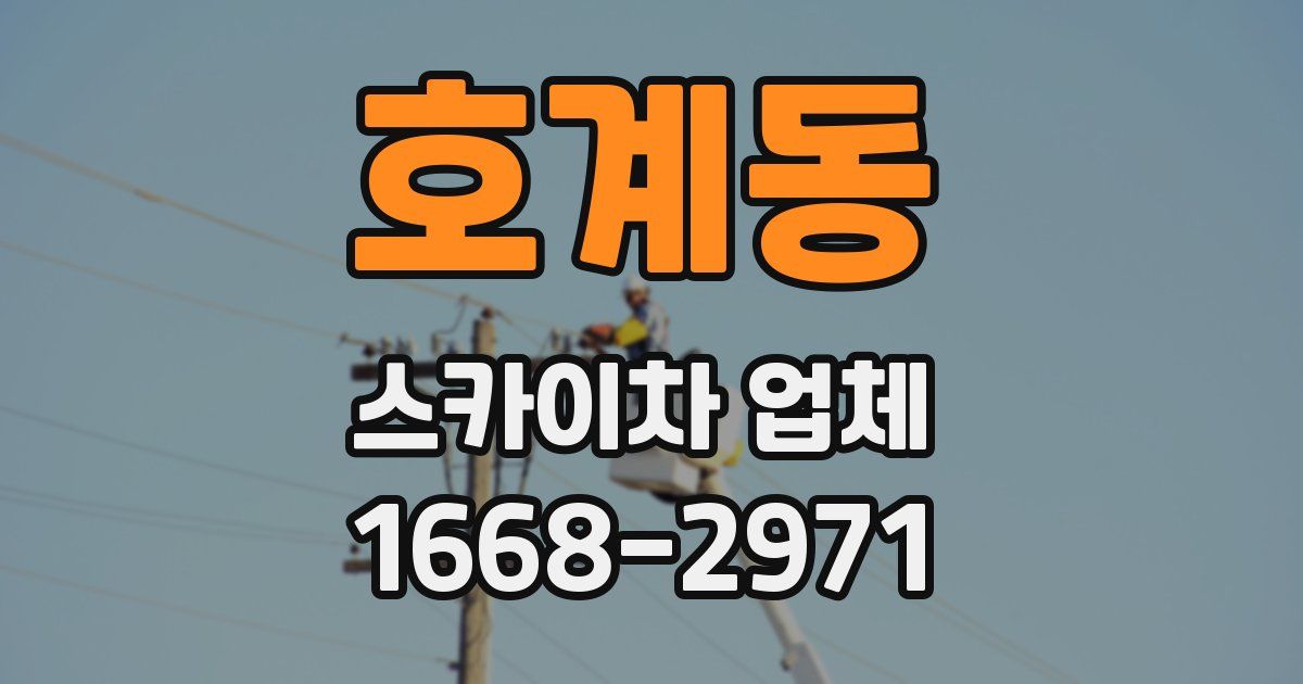 호계동 스카이차 업체
