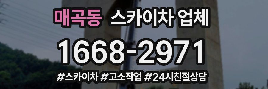 매곡동 스카이차 업체