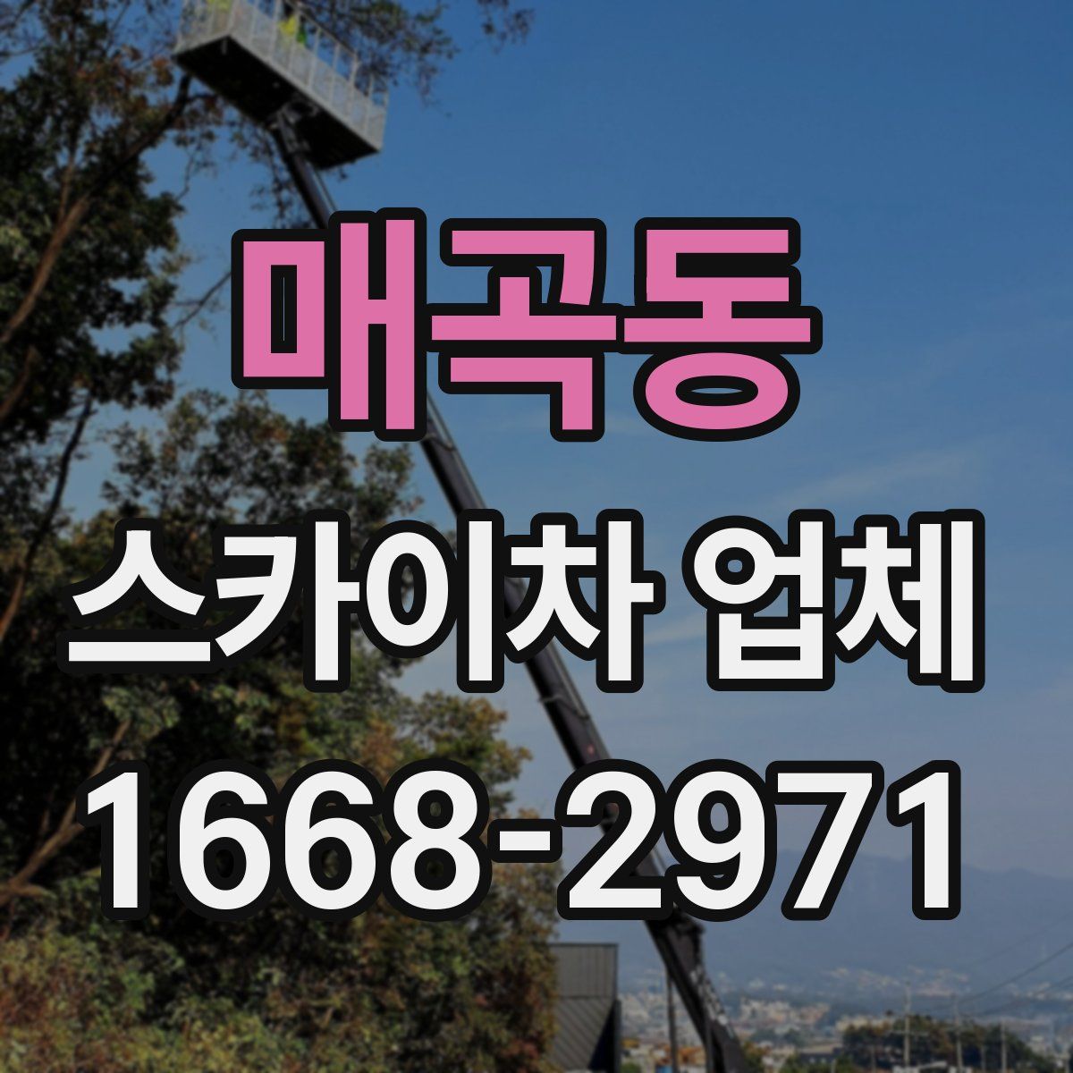 매곡동 스카이차 업체