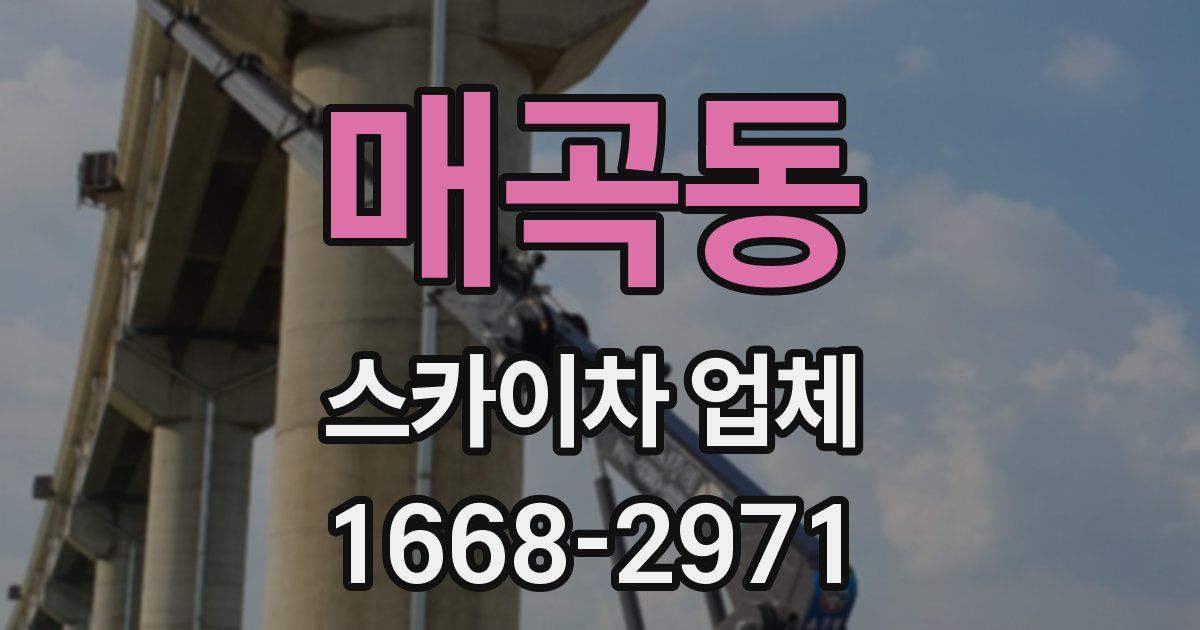 매곡동 스카이차 업체
