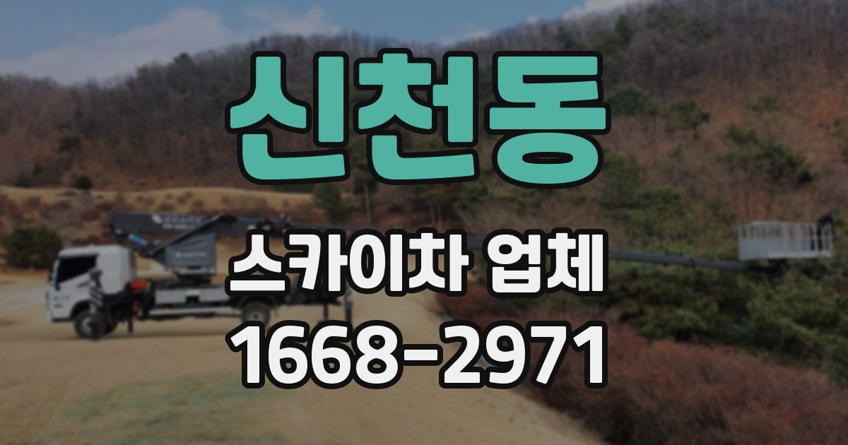 신천동 스카이차 업체