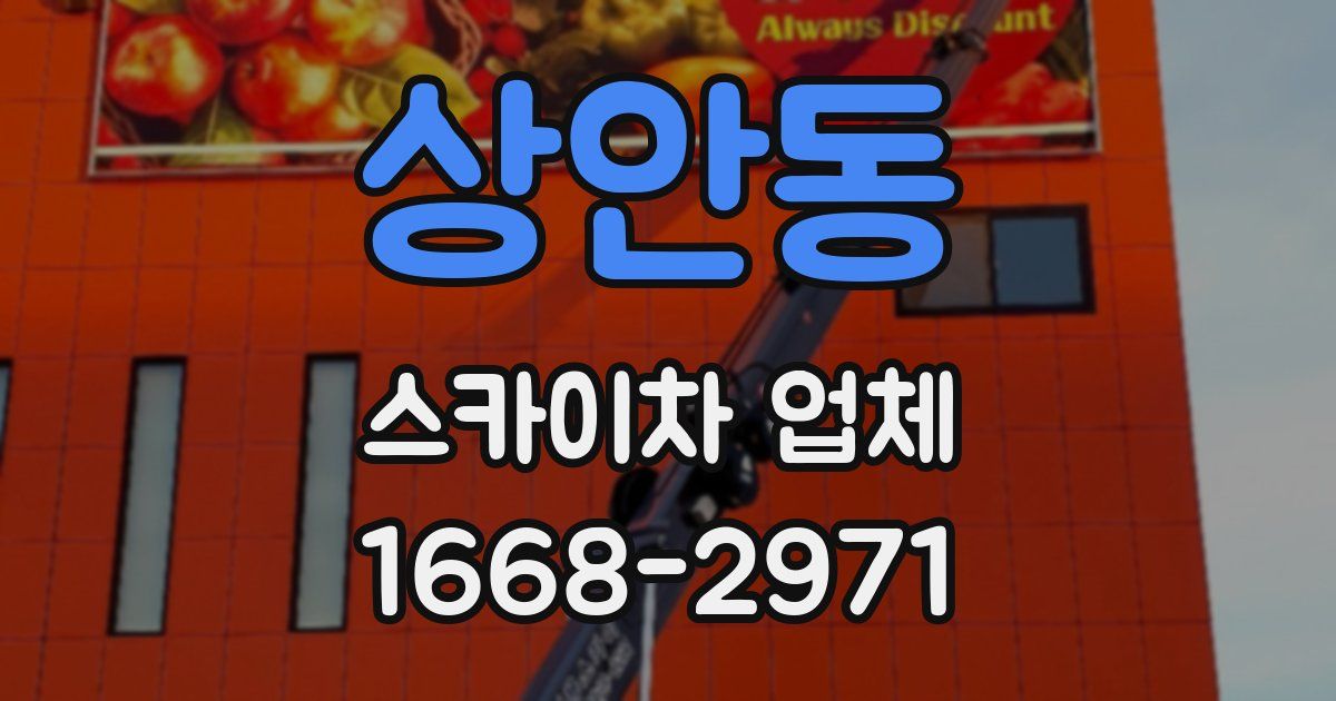 상안동 스카이차 업체