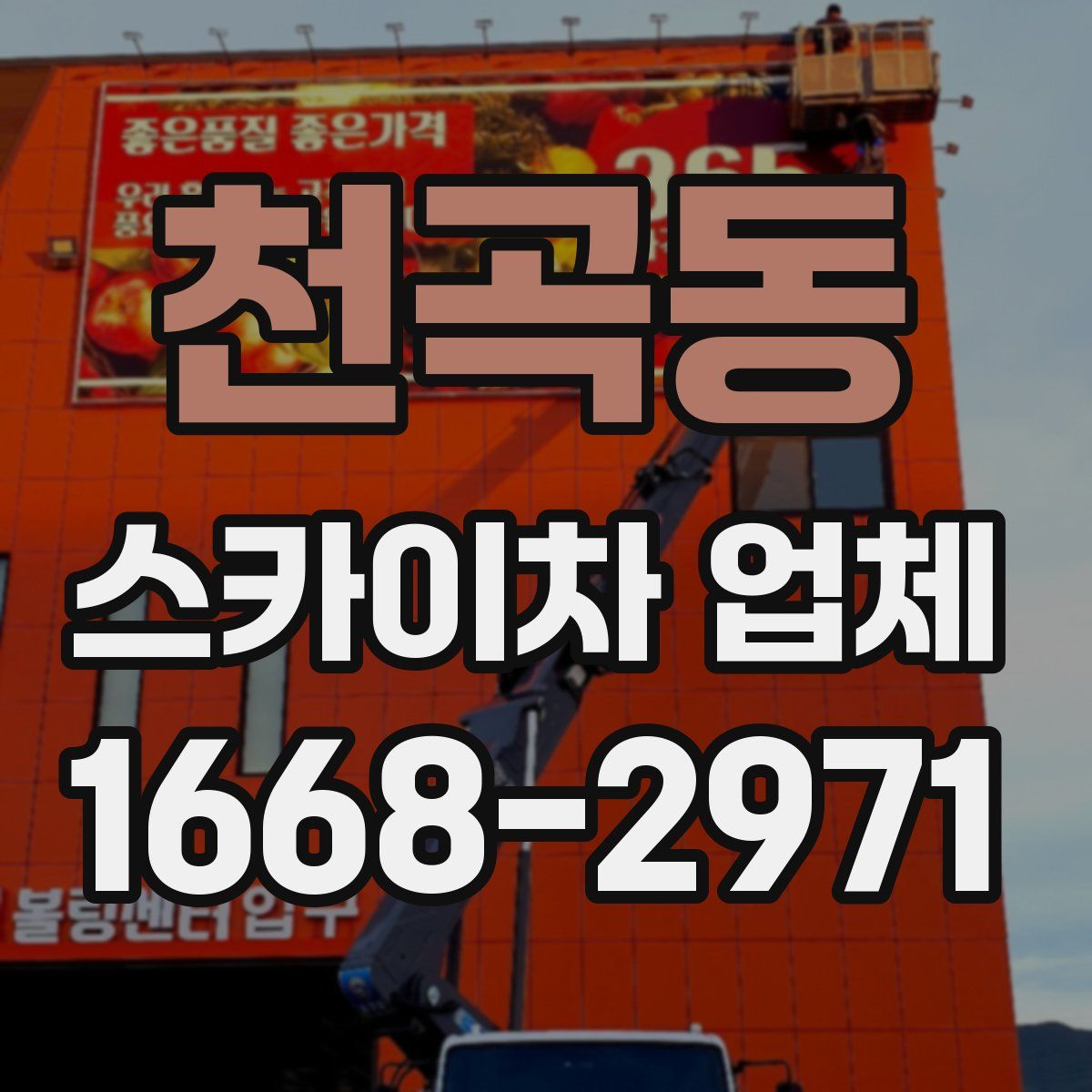 천곡동 스카이차 업체