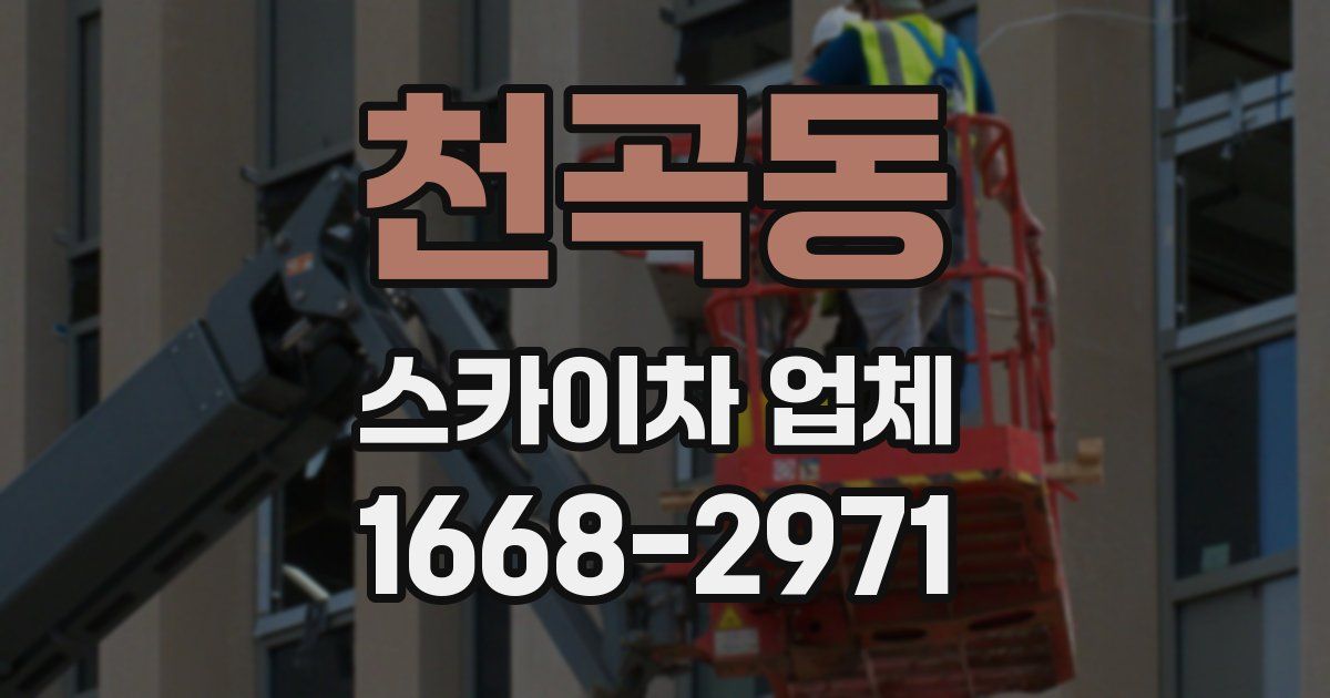 천곡동 스카이차 업체