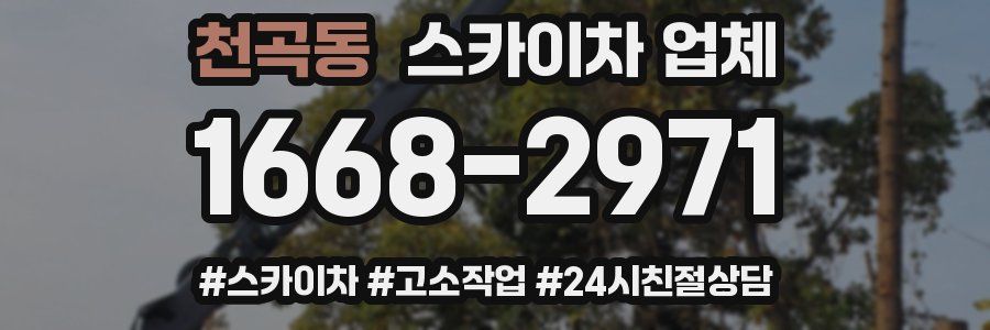 천곡동 스카이차 업체
