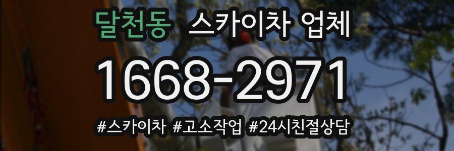 달천동 스카이차 업체