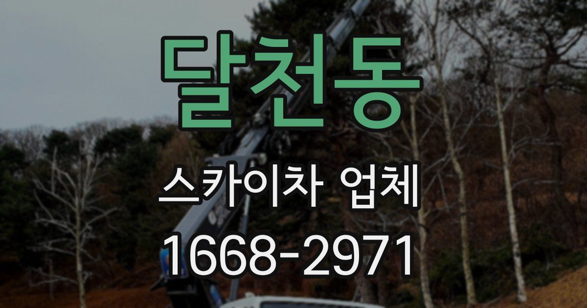 달천동 스카이차 업체