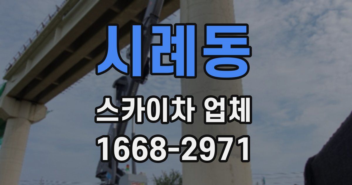 시례동 스카이차 업체