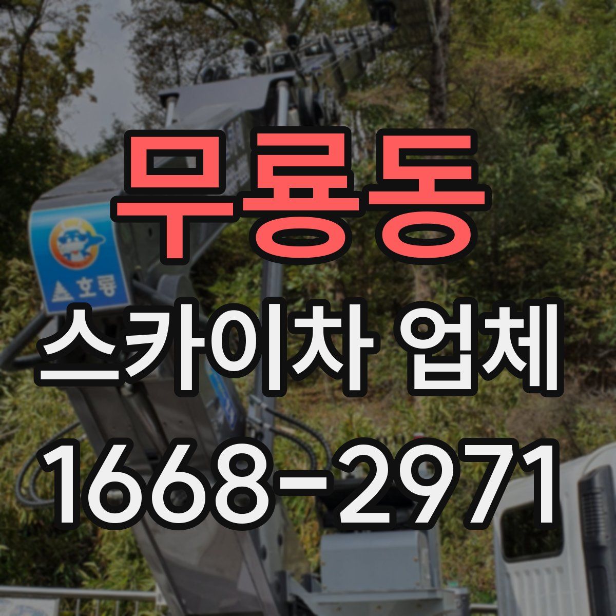 무룡동 스카이차 업체