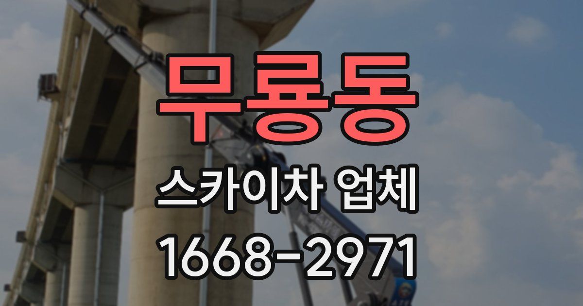 무룡동 스카이차 업체