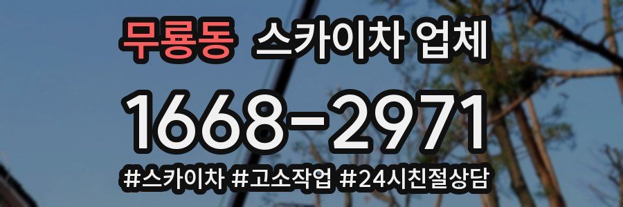 무룡동 스카이차 업체