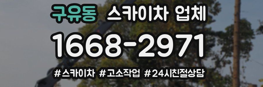 구유동 스카이차 업체