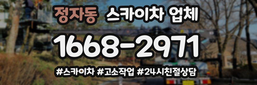 정자동 스카이차 업체
