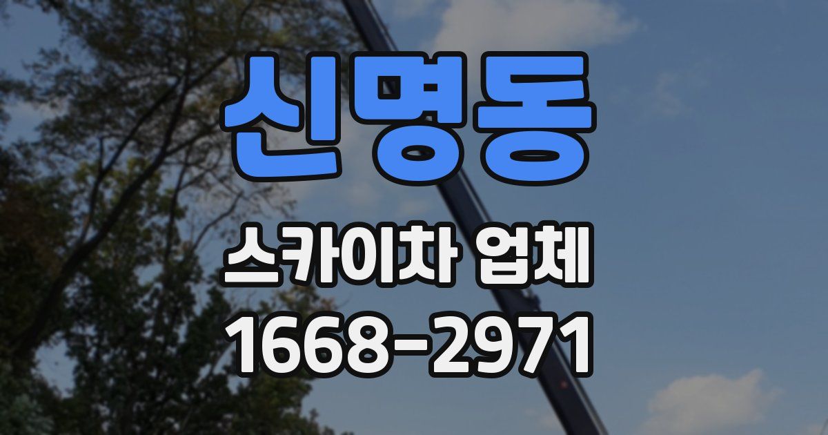 신명동 스카이차 업체