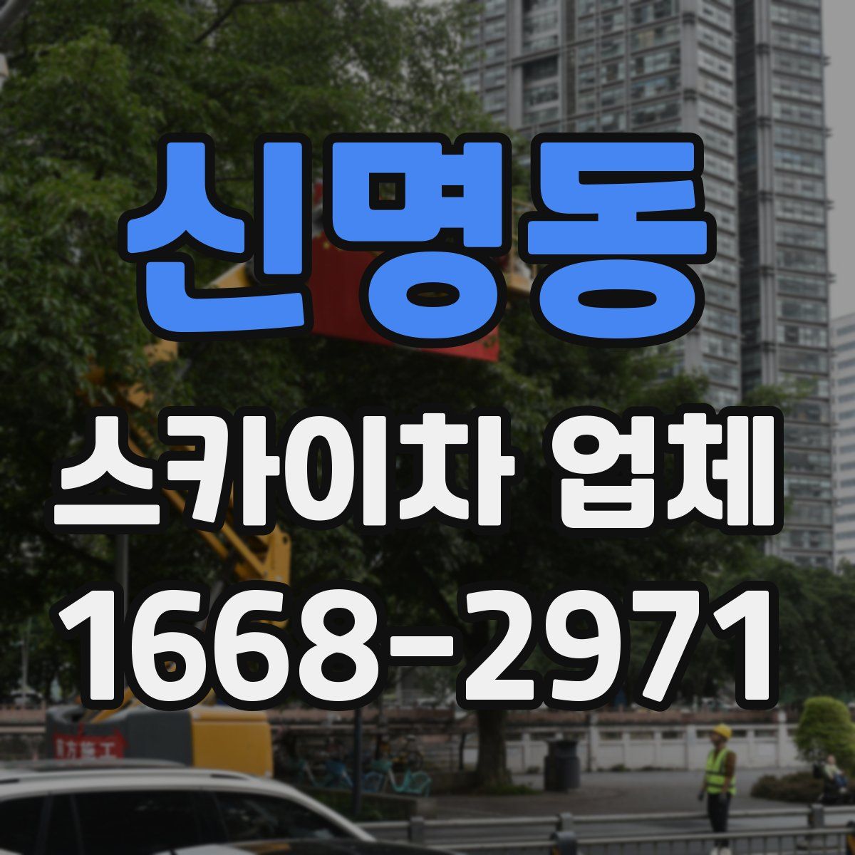 신명동 스카이차 업체