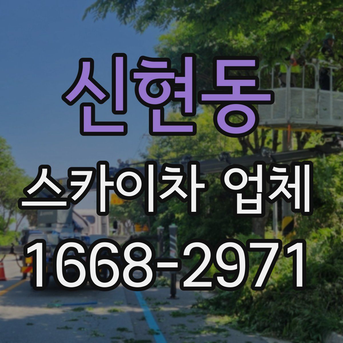 신현동 스카이차 업체