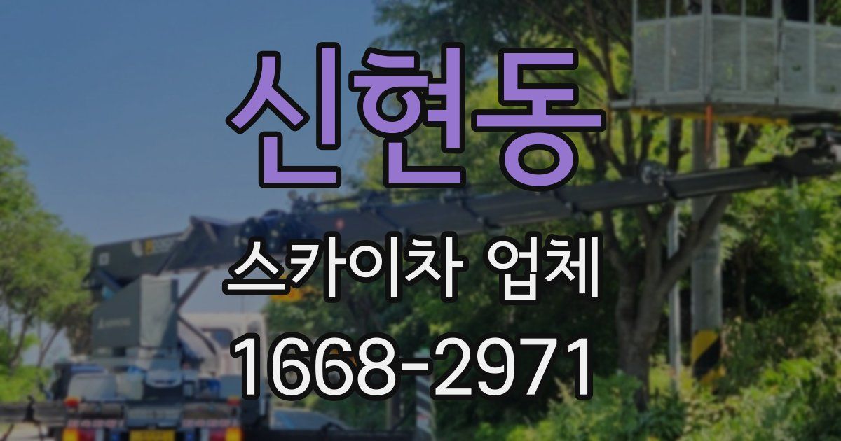 신현동 스카이차 업체