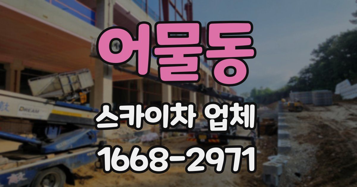 어물동 스카이차 업체