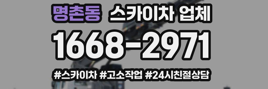 명촌동 스카이차 업체