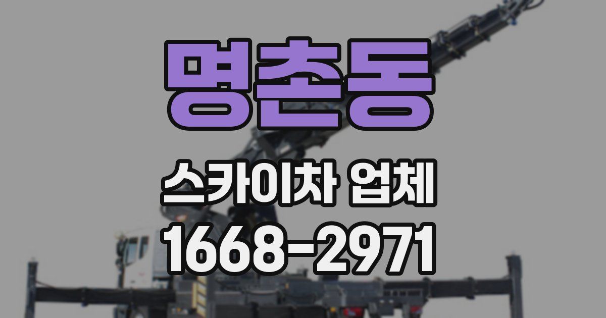 명촌동 스카이차 업체