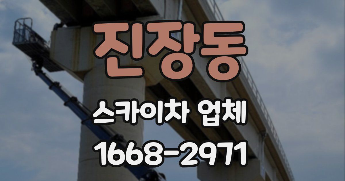 진장동 스카이차 업체