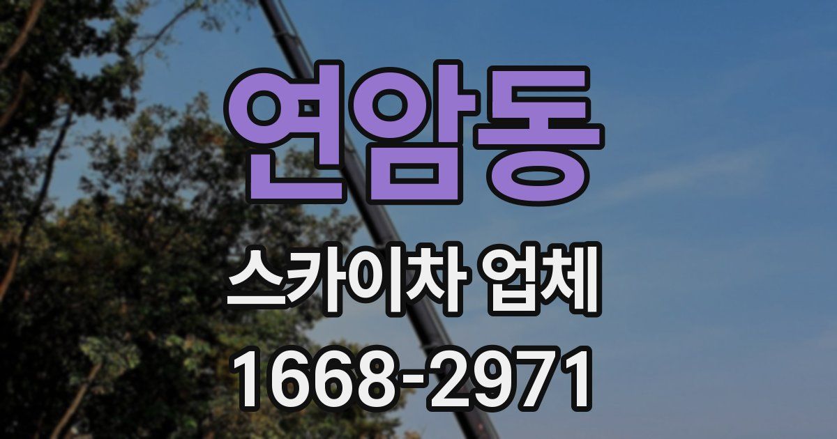 연암동 스카이차 업체