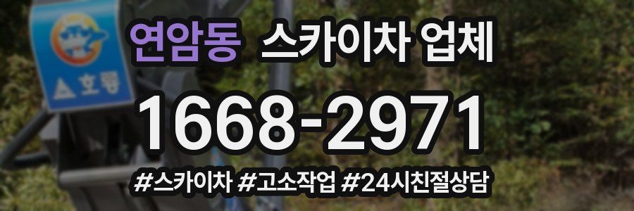 연암동 스카이차 업체