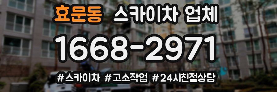 효문동 스카이차 업체
