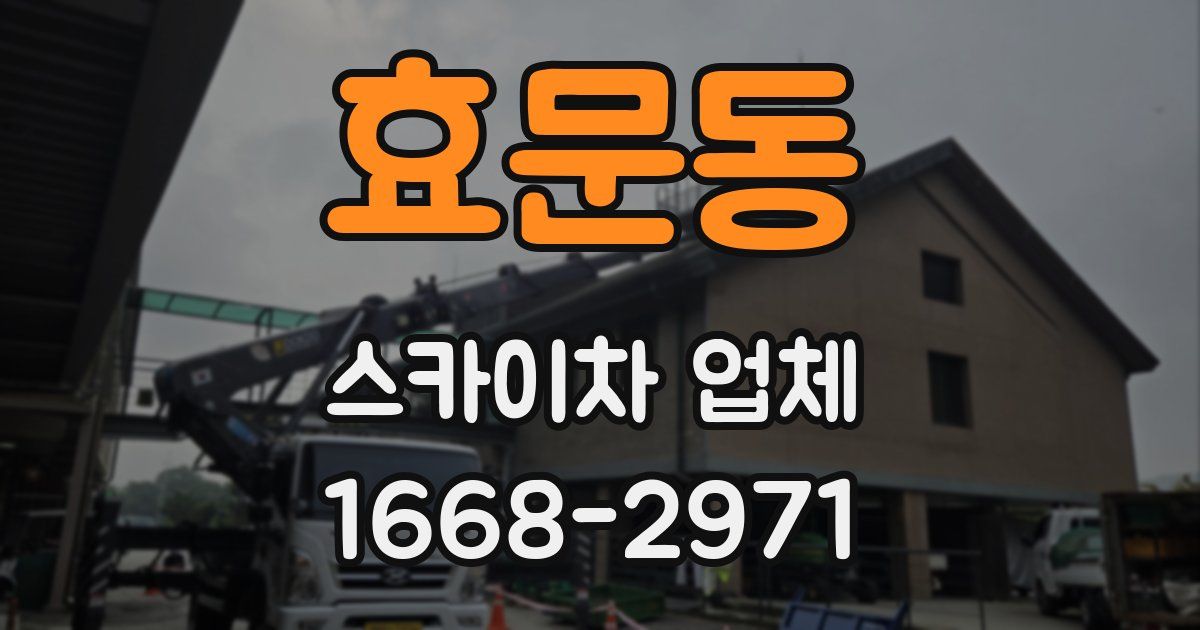 효문동 스카이차 업체