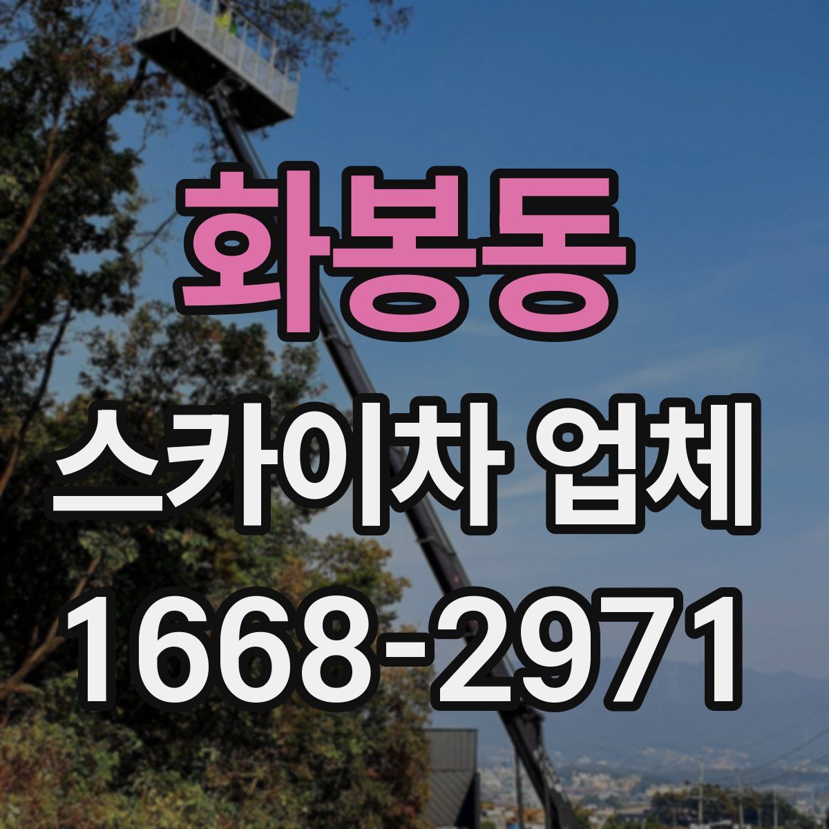 화봉동 스카이차 업체