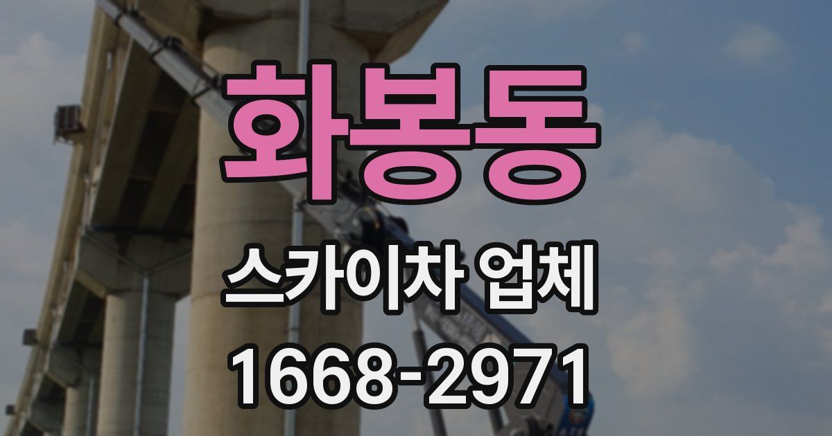 화봉동 스카이차 업체