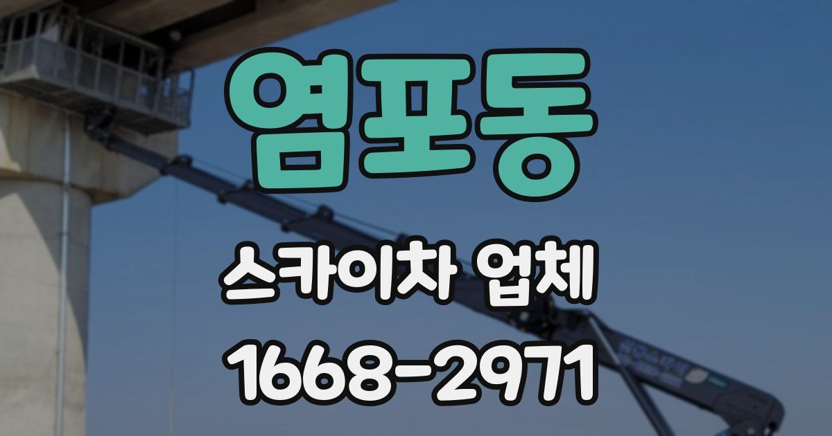 염포동 스카이차 업체