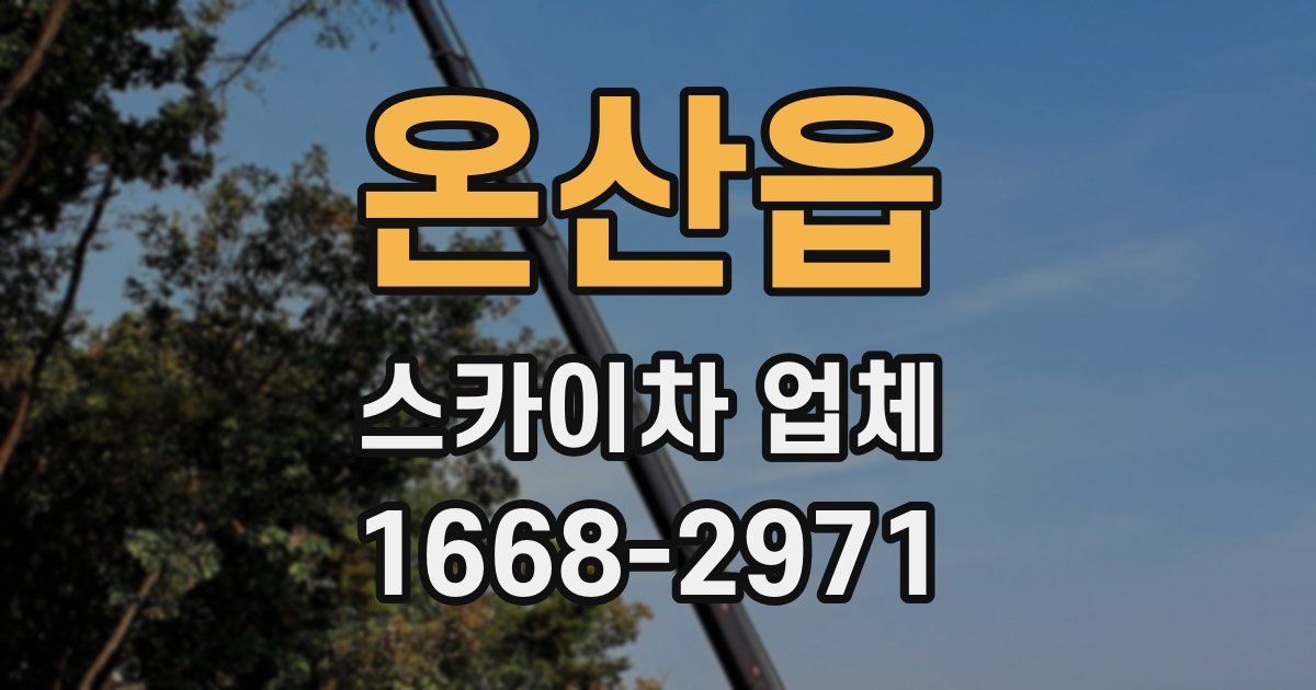 온산읍 스카이차 업체