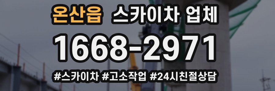 온산읍 스카이차 업체