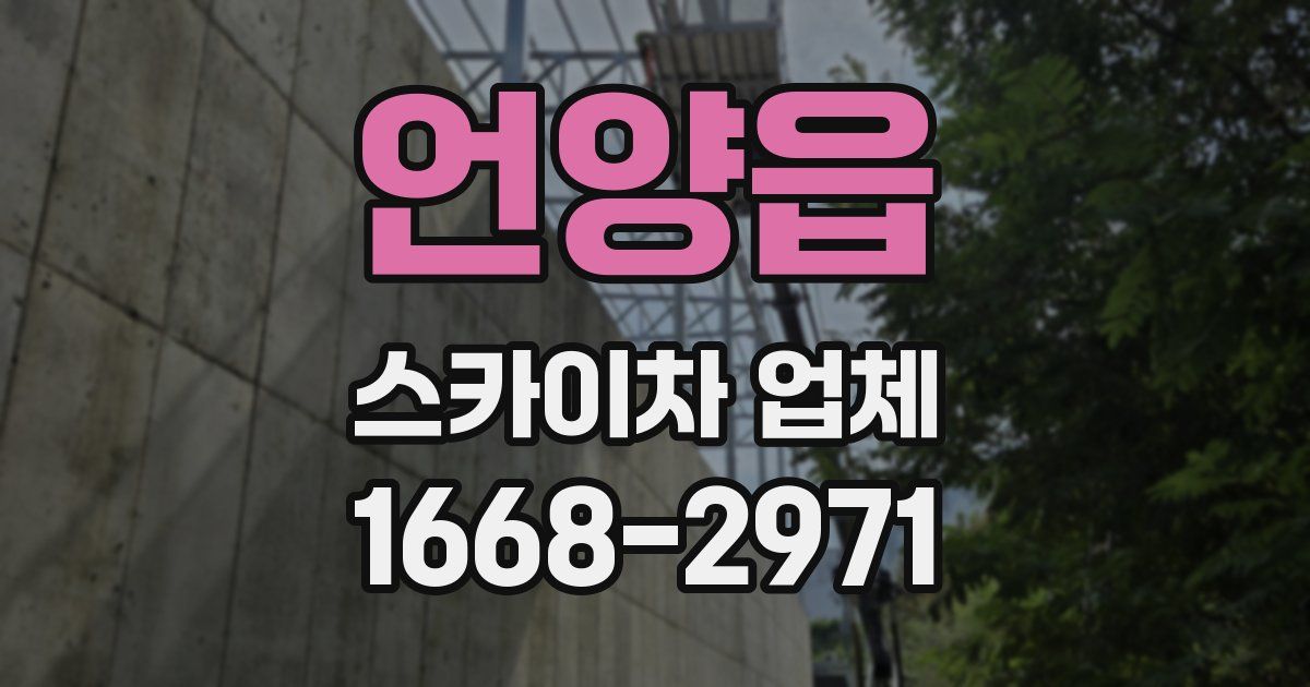 언양읍 스카이차 업체