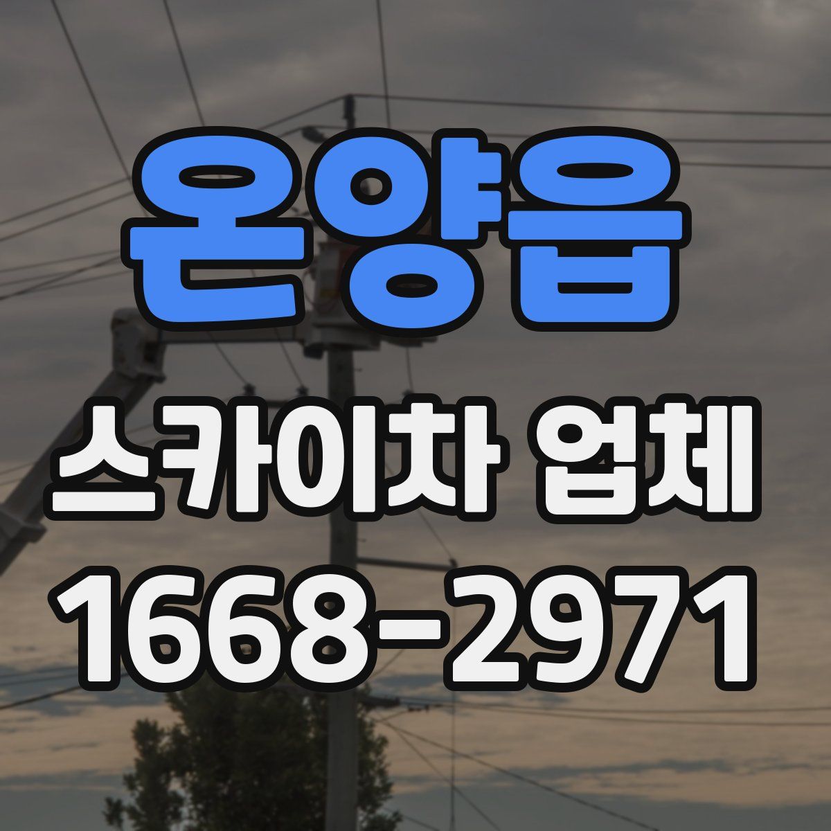 온양읍 스카이차 업체
