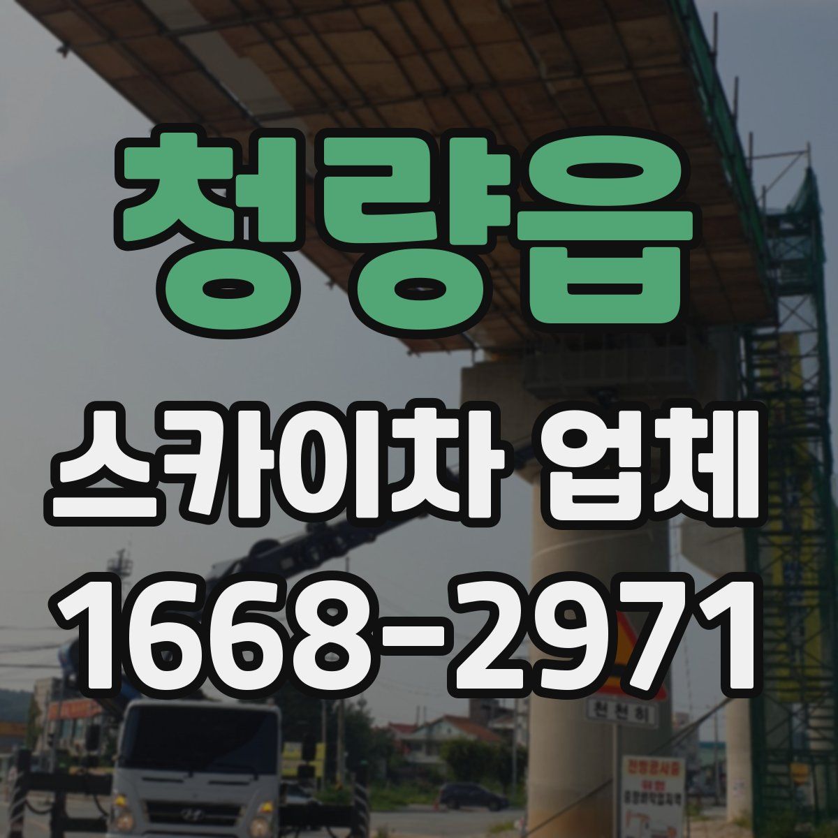 청량읍 스카이차 업체