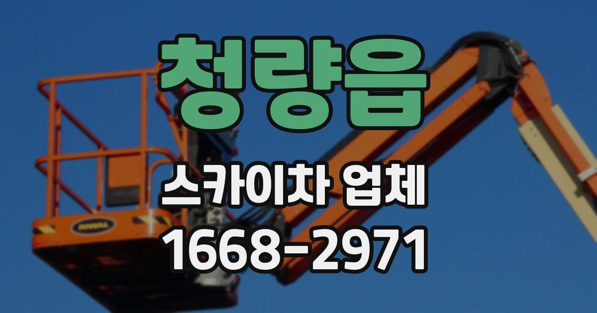 청량읍 스카이차 업체