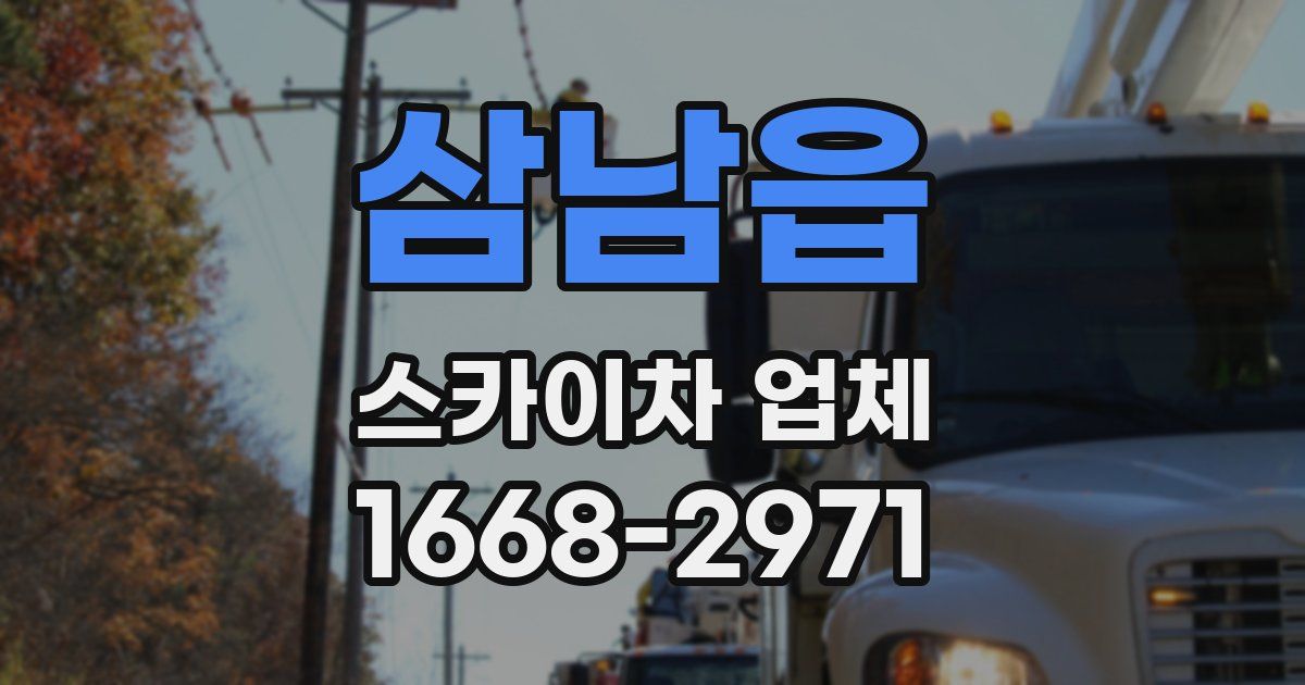 삼남읍 스카이차 업체