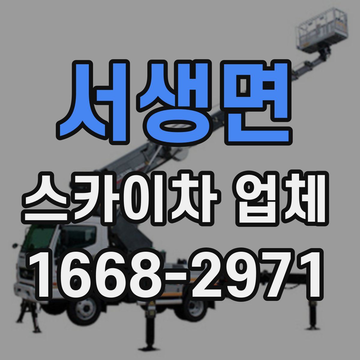 서생면 스카이차 업체